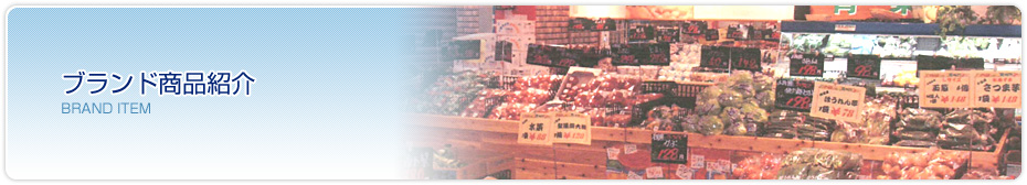 ブランド商品紹介